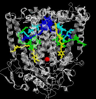 Click here: Reaction center